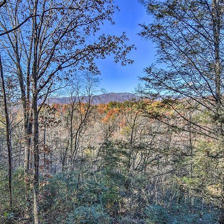Natures Retreat With Hot Tub 7 Mi To Bryson City Whittier Εξωτερικό φωτογραφία